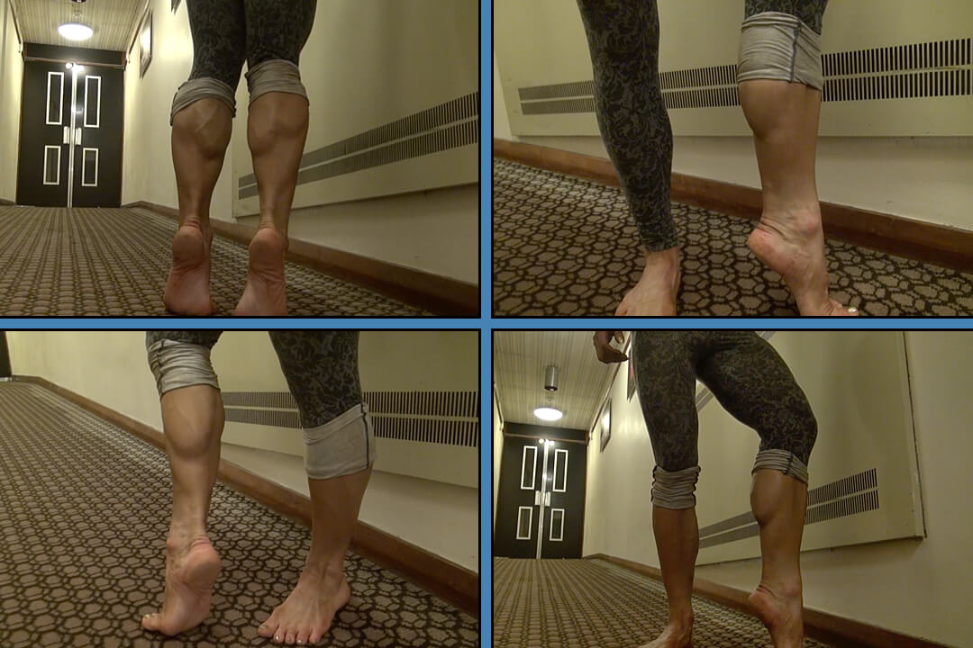 Female Muscle Videos
